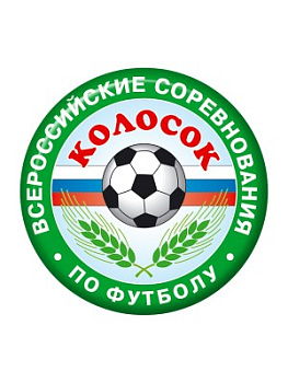 Вкладыш бумажный 50 мм на заказ